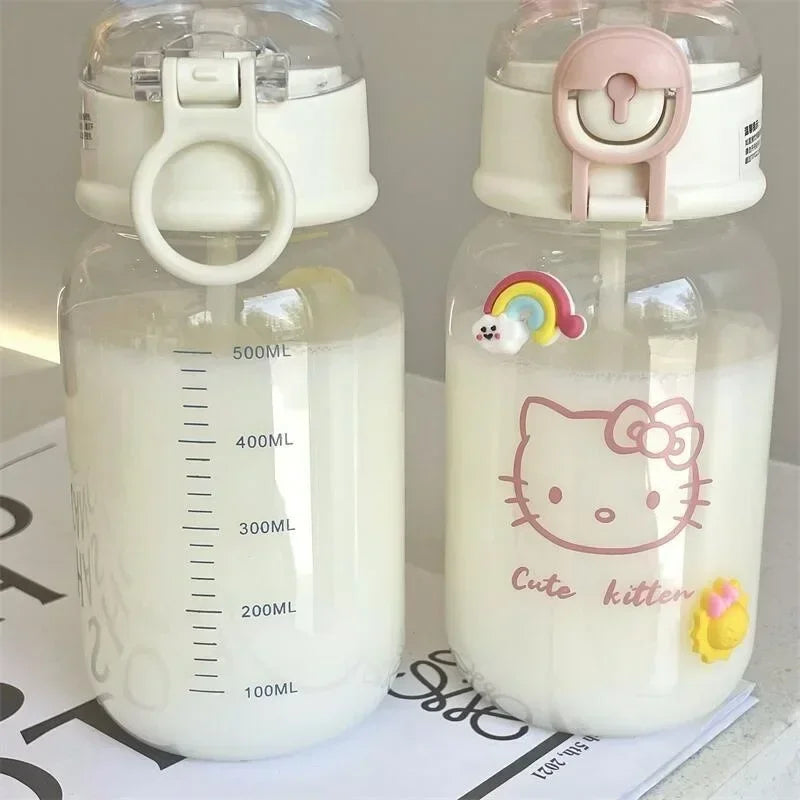 Hello Kitty Water Bottle